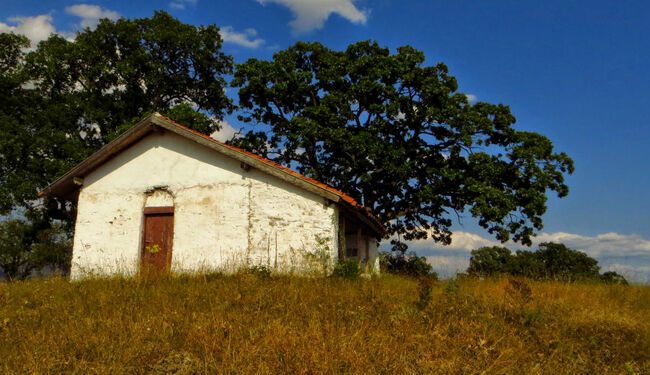 „То целият свят е болен, синко. Едни от това, други от онова. Няма здрав човек на света. Гледаш, тялото желязно, а душата — гнила.”