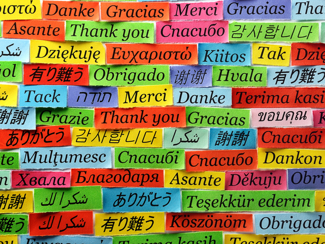 11 ЯНУАРИ - СВЕТОВЕН ДЕН НА ДУМАТА „БЛАГОДАРЯ“ - Община Берковица