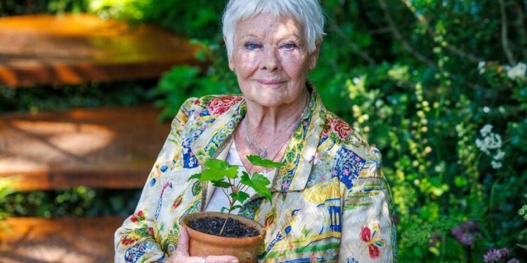 Джуди Денч на 90 г.